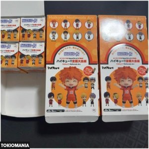 Nendoroid Haikyu!! National Tournament Edition Surprise Set of 20