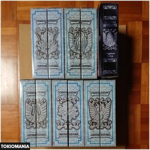 Saint Cloth Myth Final Bronze Cloth 5 Figures & Appendix - Image 3